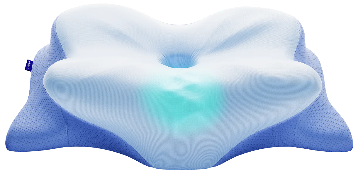 Derila Ergo Ergonomic Memory Foam Pillow